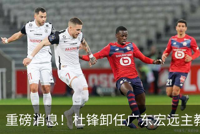 重磅消息！杜锋卸任广东宏远主教练，后续变化值得关注